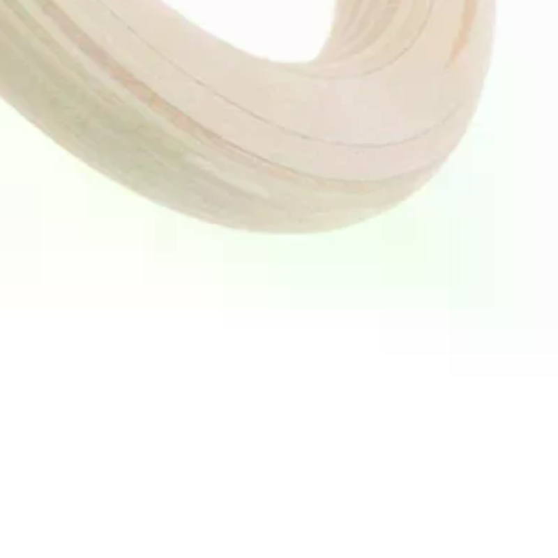 2Pcs Wooden Ring Portable Cros - Gymnastic Ring Wood 评论和价格