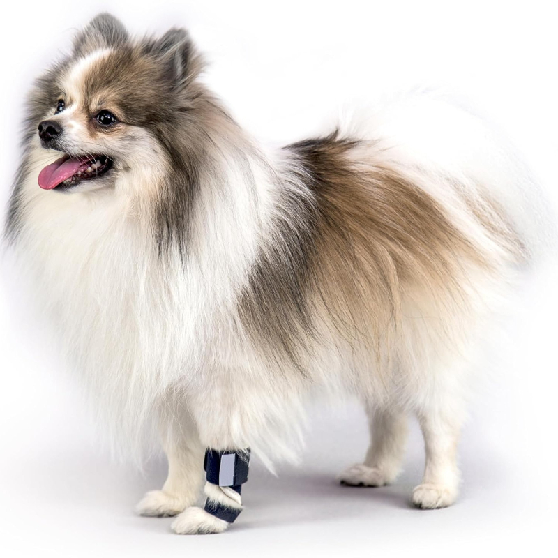 Carpal Hyperextension Dog Brac - Ankle Mobility Band 评论和价格